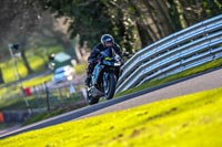 Oulton-Park-20th-March-2020;PJ-Motorsport-Photography-2020;anglesey;brands-hatch;cadwell-park;croft;donington-park;enduro-digital-images;event-digital-images;eventdigitalimages;mallory;no-limits;oulton-park;peter-wileman-photography;racing-digital-images;silverstone;snetterton;trackday-digital-images;trackday-photos;vmcc-banbury-run;welsh-2-day-enduro